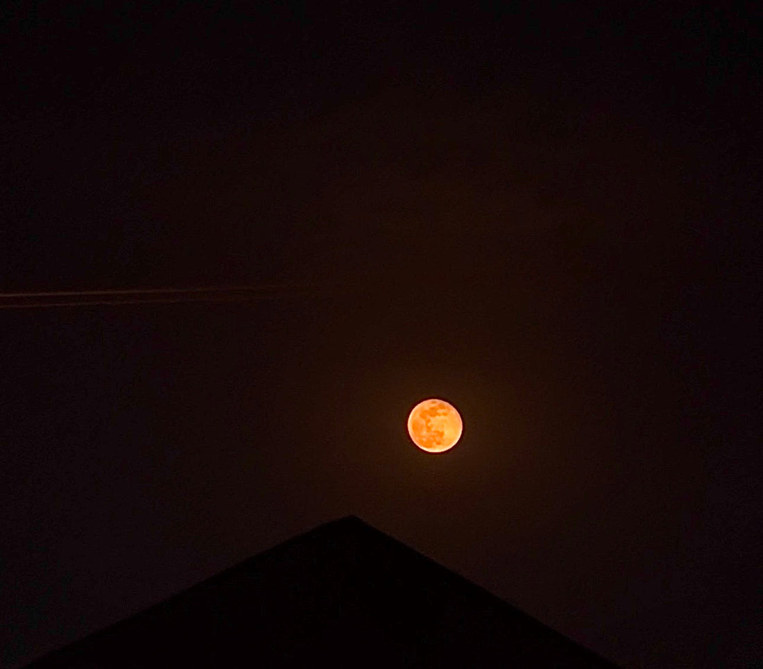 A Reflection on Presence and Diving Timing